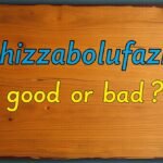 is hizzaboloufazic good or bad